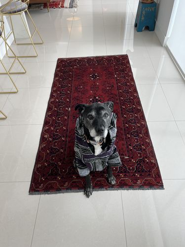 Customer photo review of Playa Poncho - Surprise Color