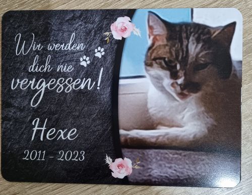 Customer photo review of Katzen Gedenktafel mit Foto & Spruch