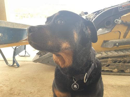 Customer photo review of Black