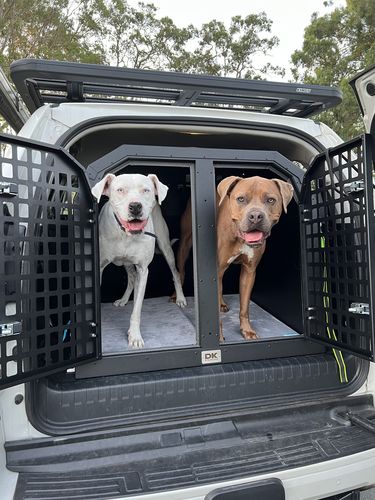 Customer photo review of Toyota Prado 150 Series (2010-Present) Double Bay Dog Box - Transport Crate/Cage