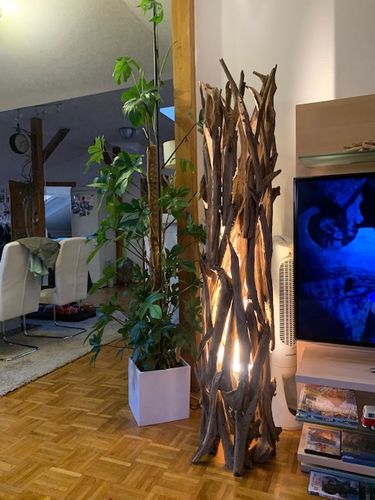 Customer photo review of Design Teak Wurzelholz Stehlampe ACE