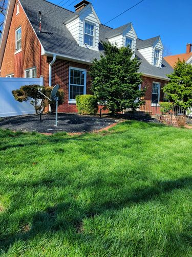 Customer photo review of 18-0-1 GreenePunch