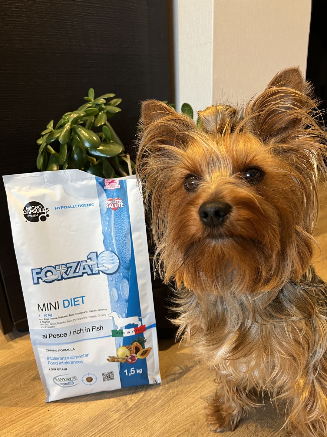 Customer photo review of Mini DIET ar zivi