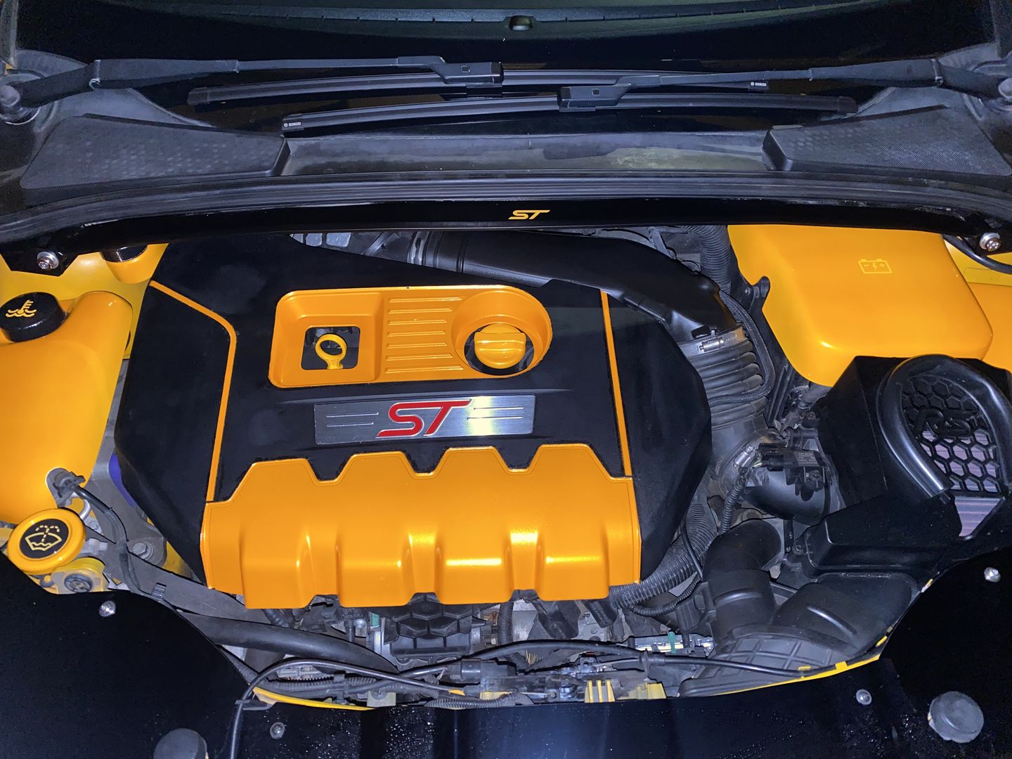 Customer photo review of Dipstick - Focus MK3/3.5 Petrol ST/ RS