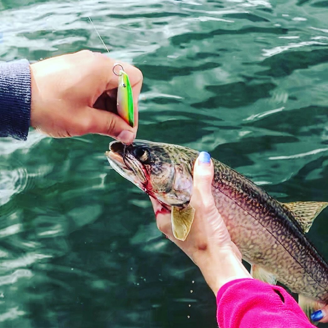 Customer photo review of G Force