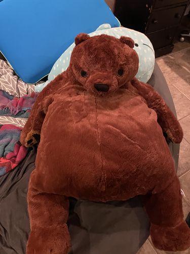 Customer photo review of SKOGGY BEAR