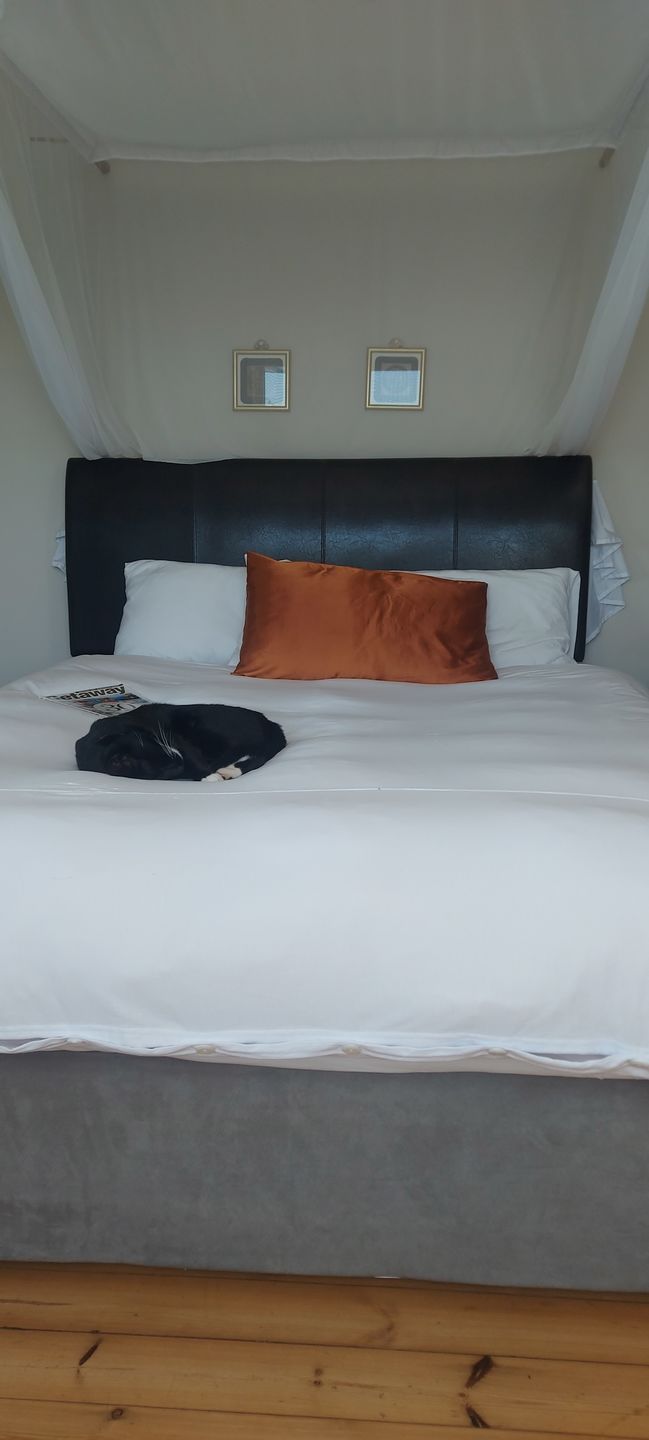 Customer photo review of Scandinavian White Duvet Cover Set