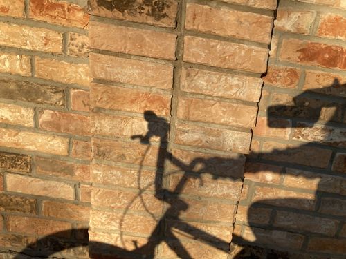 Customer photo review of Framed Plaintiff 29 BMX Bike Mens