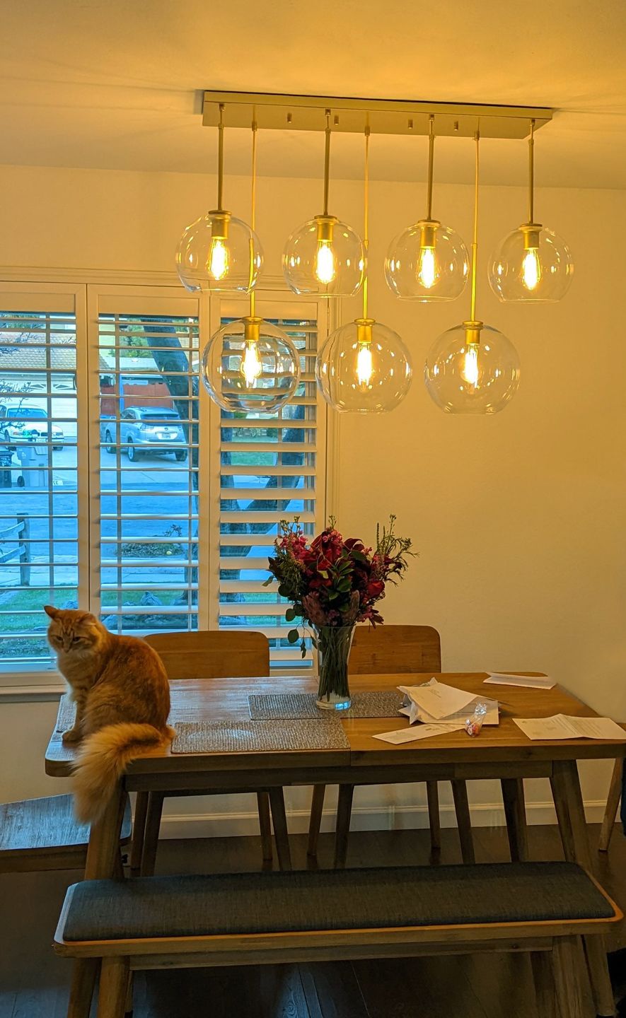 Customer photo review of Globe Cluster Kitchen Island Pendant Light