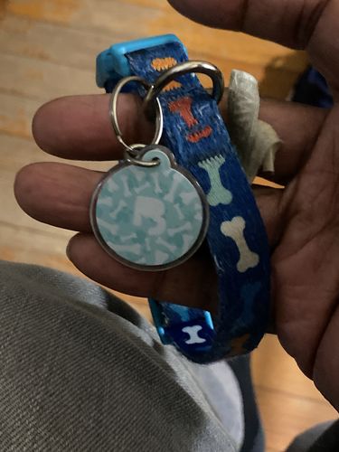 Customer photo review of Paw & Bones