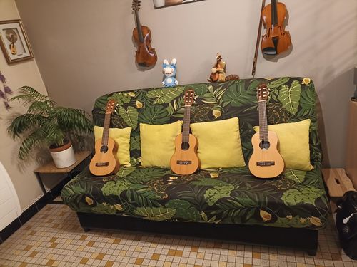 Customer photo review of Housses De Canapé Clic Clac Heracleum