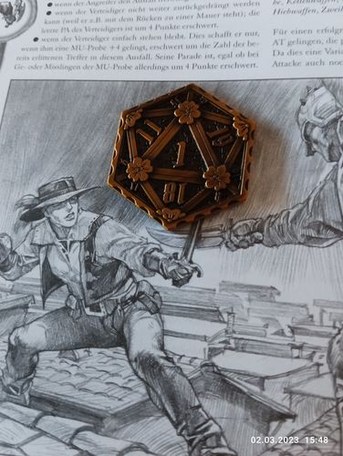 Customer photo review of D20 Coin