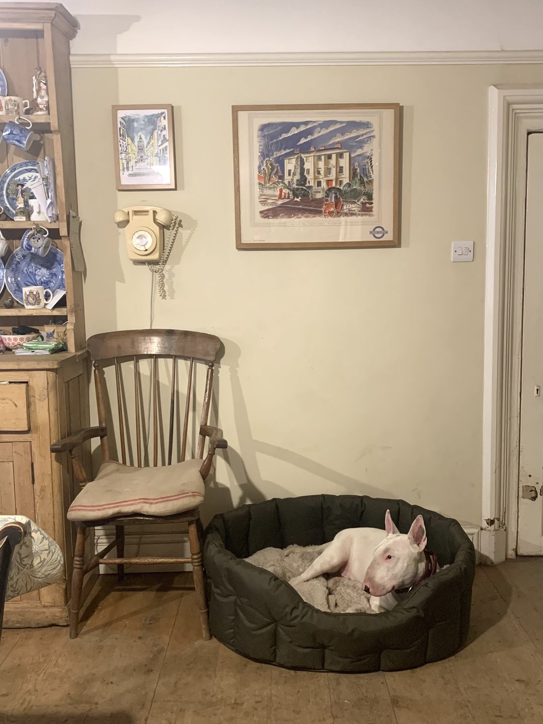 Customer photo review of Country Dog Heavy Duty Oval Waterproof Bed