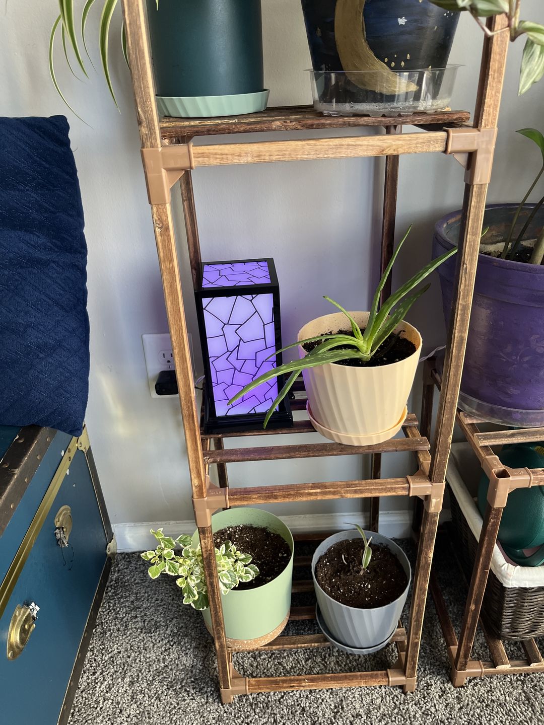 Customer photo review of Classic Design Friendship Lamps