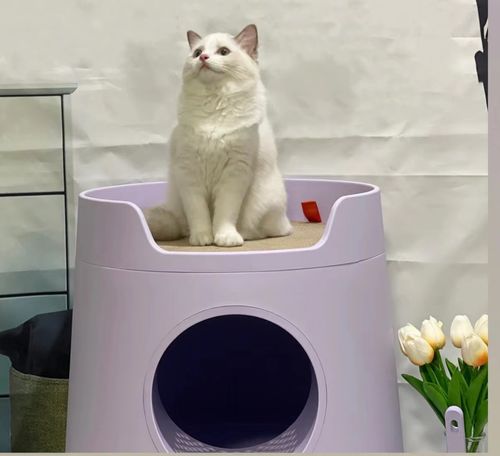 Customer photo review of Mayitwill XL Castle 2 in 1 Front-Entry Cat Litter Box with Scratch Basin, Scoop included, Lilac Purple