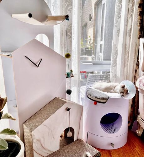 Customer photo review of Mayitwill XL Castle 2 in 1 Front-Entry Cat Litter Box with Scratch Basin, Scoop included, Lilac Purple