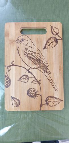 Customer photo review of Birds and Branches - Mesh Stencil 18x18