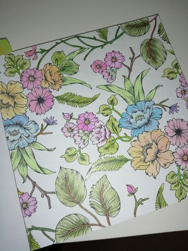 Customer photo review of 120 Pièces Crayons De Couleur Castle Gold Dans Un Étui À Fermeture Éclair