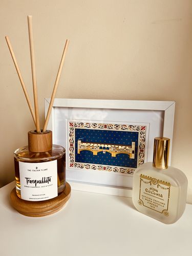 Customer photo review of Tranquillita | Fragrance Diffuser