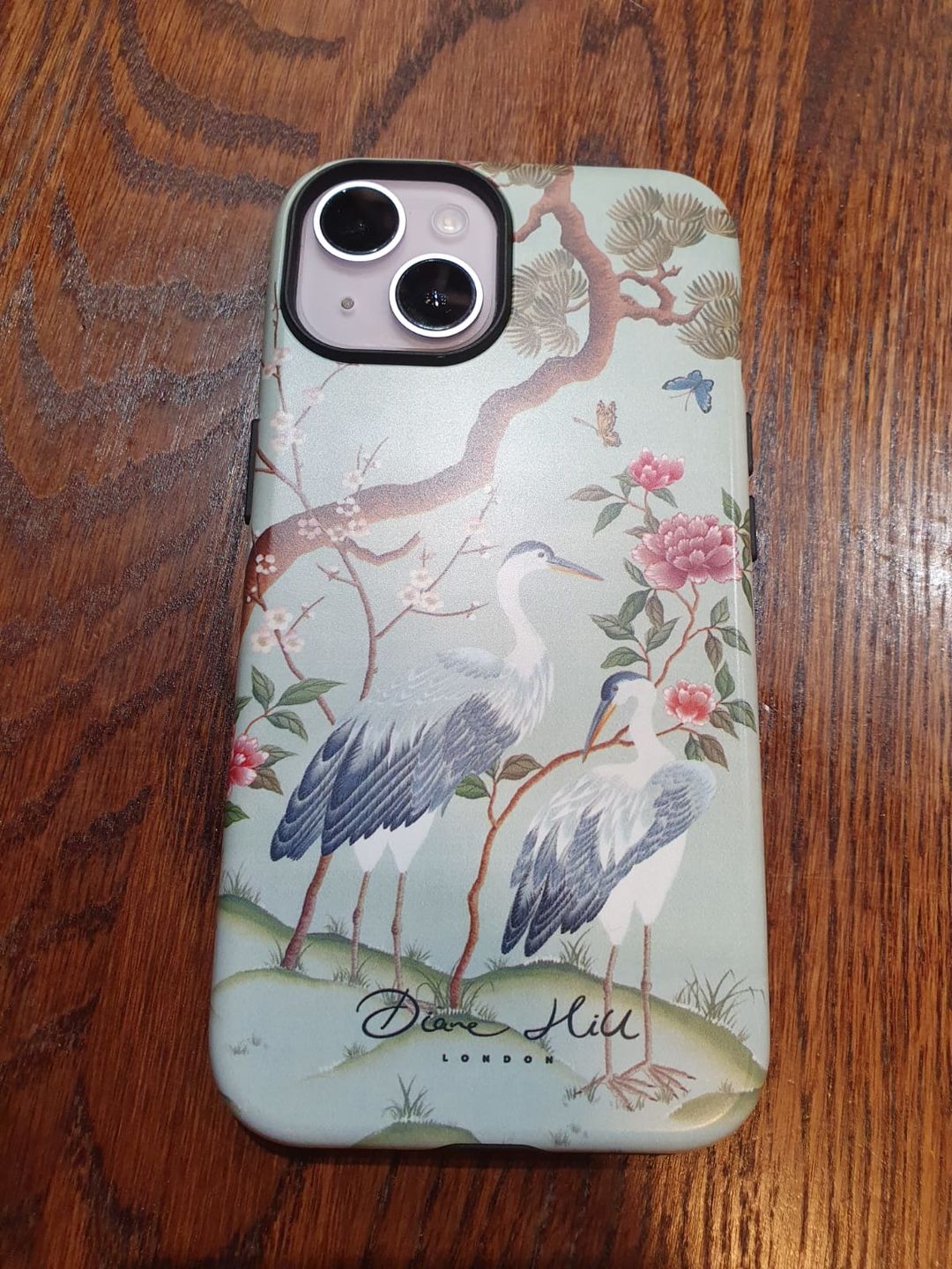 Customer photo review of Susan Phone case