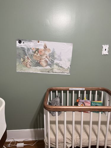 Customer photo review of Sweet Bunny Friends Wallpaper Mural