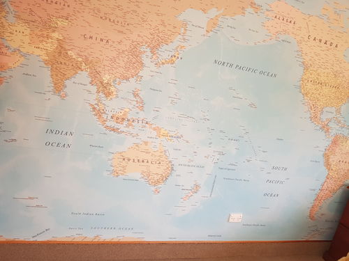 Customer photo review of World Map Mural - NZ Centered - 6 Colours