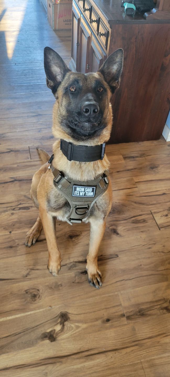 Customer photo review of MOM SAID ITS MY TURN