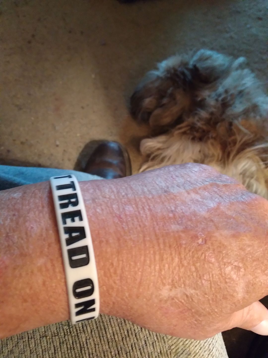 Customer photo review of All Faster than 911 Decal