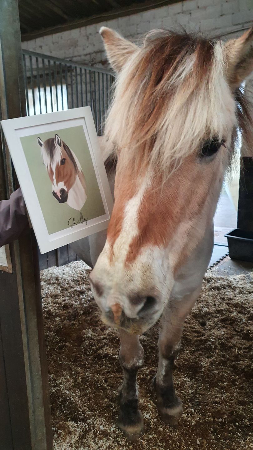 Customer photo review of Portrait deines Tieres