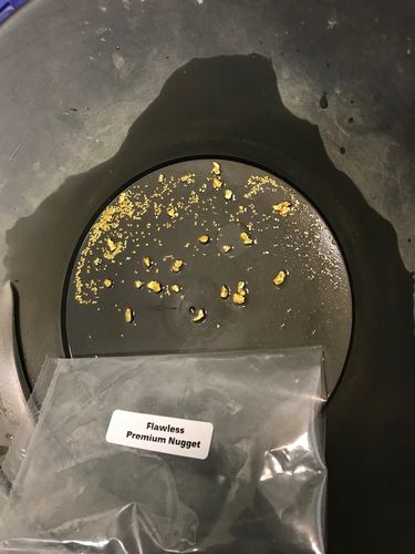Customer photo review of Flawless 'PREMIUM NUGGET' - Gold Panning Paydirt