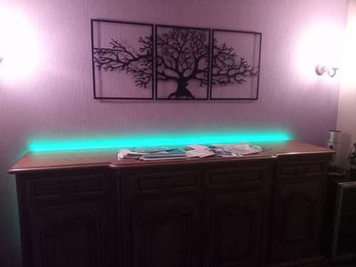 Customer photo review of Triptyque Arbre De Vie