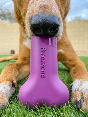 Customer photo review of Freezbone