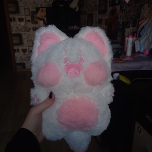 Customer photo review of Kawaii Fuzzy Dudu Cat Plushie
