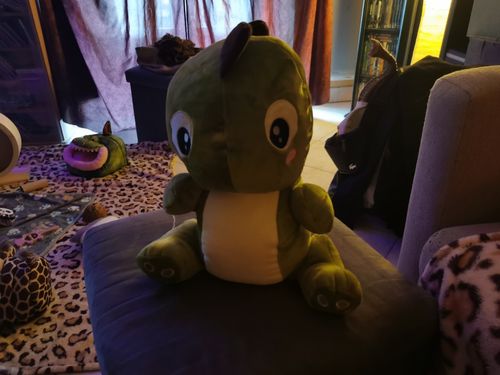 Customer photo review of Little Forest Dino Friend Plush