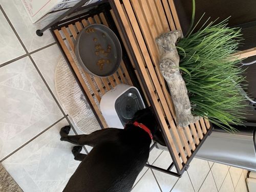 Customer photo review of Sip n' Stay Bowl™