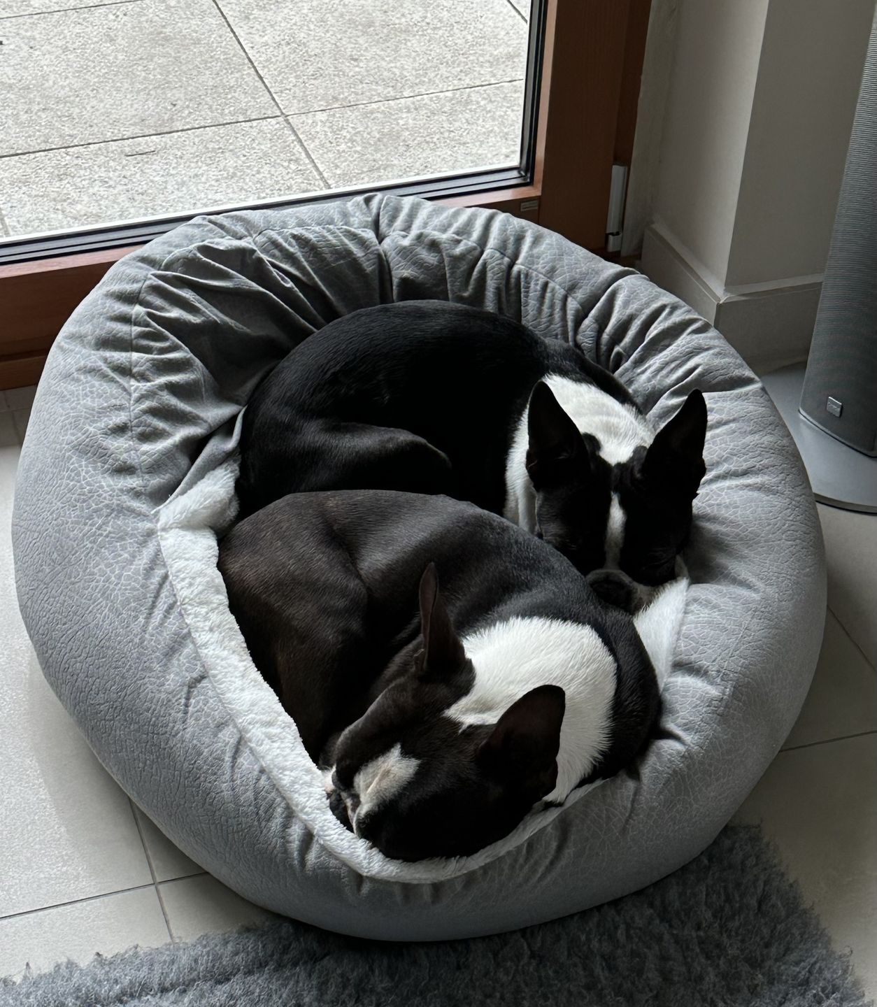 Customer photo review of *Neu*Emmalove - Kuschelhöhle für Hunde