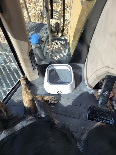 Customer photo review of Sip n' Stay Bowl™