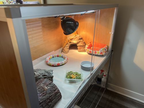 Customer photo review of 4'x2'x2' Original Wood Reptile Enclosure