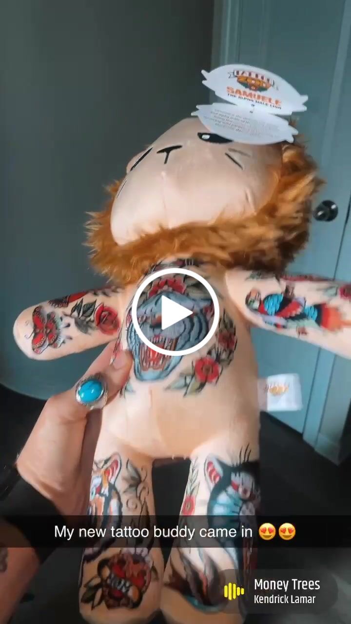 Customer video review of Samuele the Alpha Male Lion