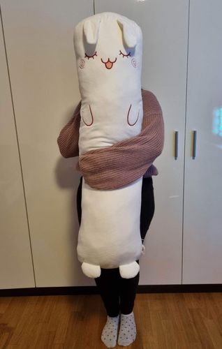 Customer photo review of Snuggle Buddy Long Pillow
