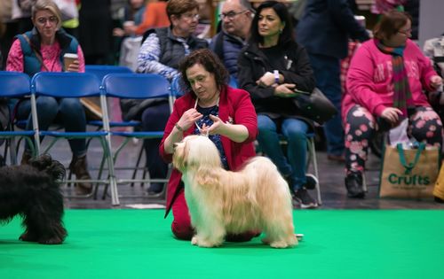 Customer photo review of I'm So Silky Shampoo