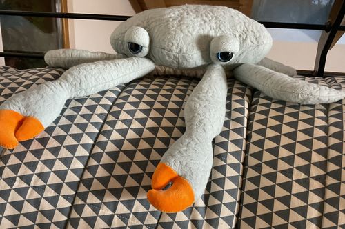 Customer photo review of The Mini Crab