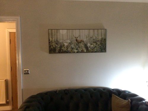 Customer photo review of Luna Gaze By Sabrina Roscino