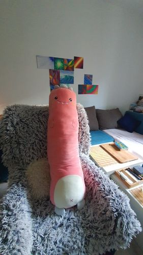 Customer photo review of Snuggle Buddy Long Pillow