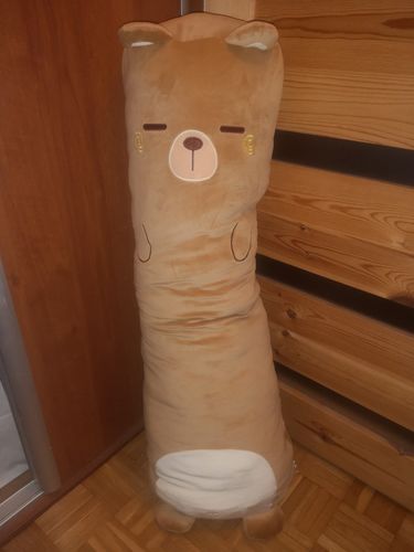 Customer photo review of Snuggle Buddy Long Pillow