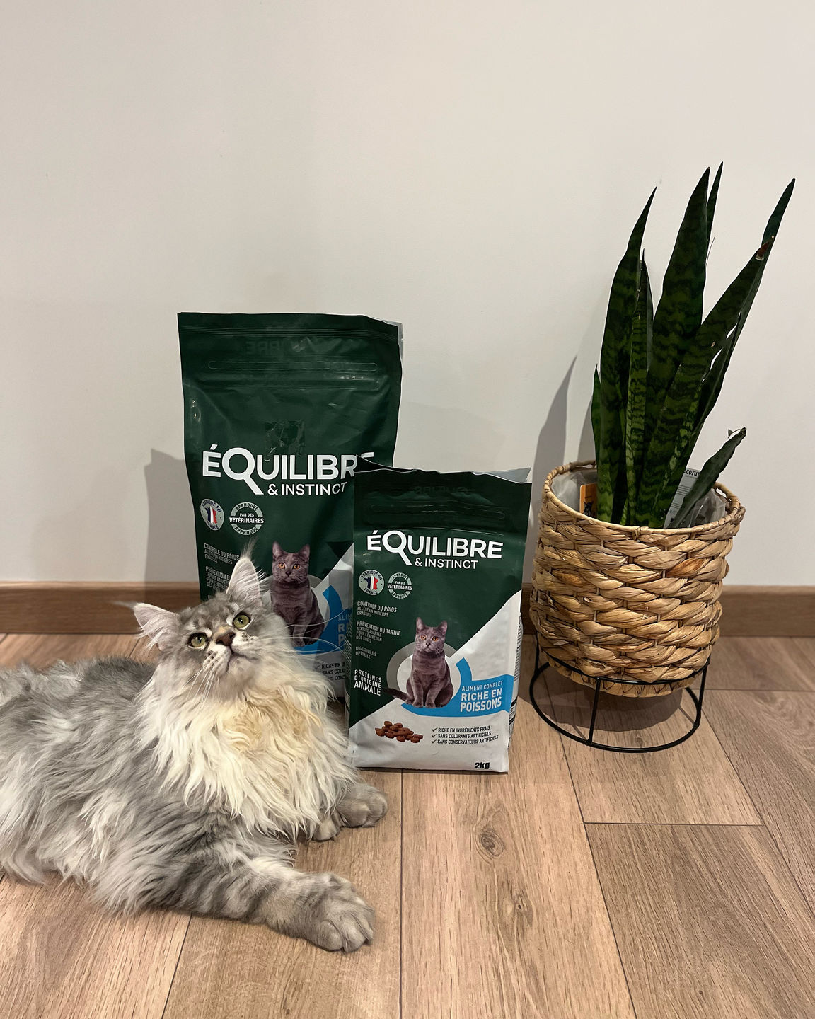 Customer photo review of Croquettes de volaille riches en ingrédients frais (chat adulte)