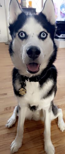 Customer photo review of Mountain Silicone