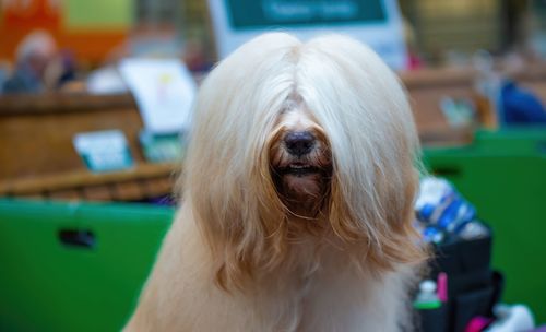 Customer photo review of So Sleek Finishing Cream