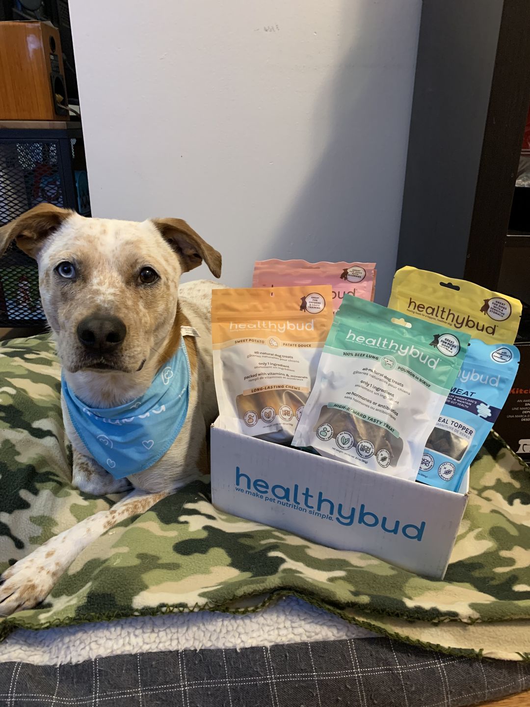 Customer photo review of Beef Lung Wafers