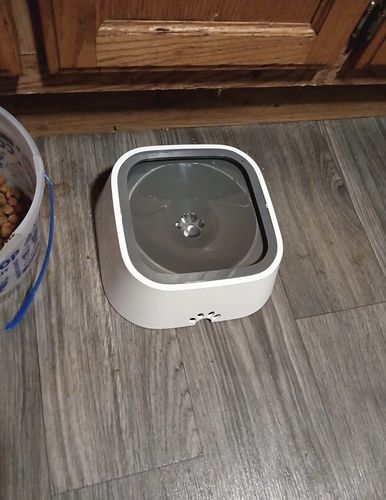 Customer photo review of Sip n' Stay Bowl™